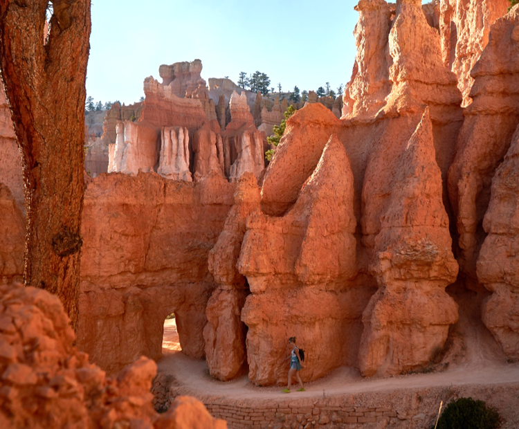 Roadtrip USA Routenplanung Bryce Canyon Utah Queens Garden