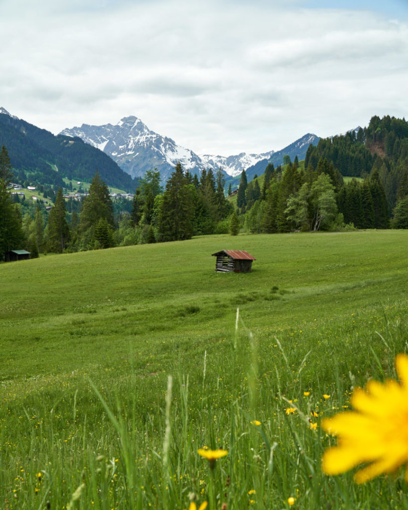 Hütte auf Allgäuer Almwiese in der Nagelfluhkette