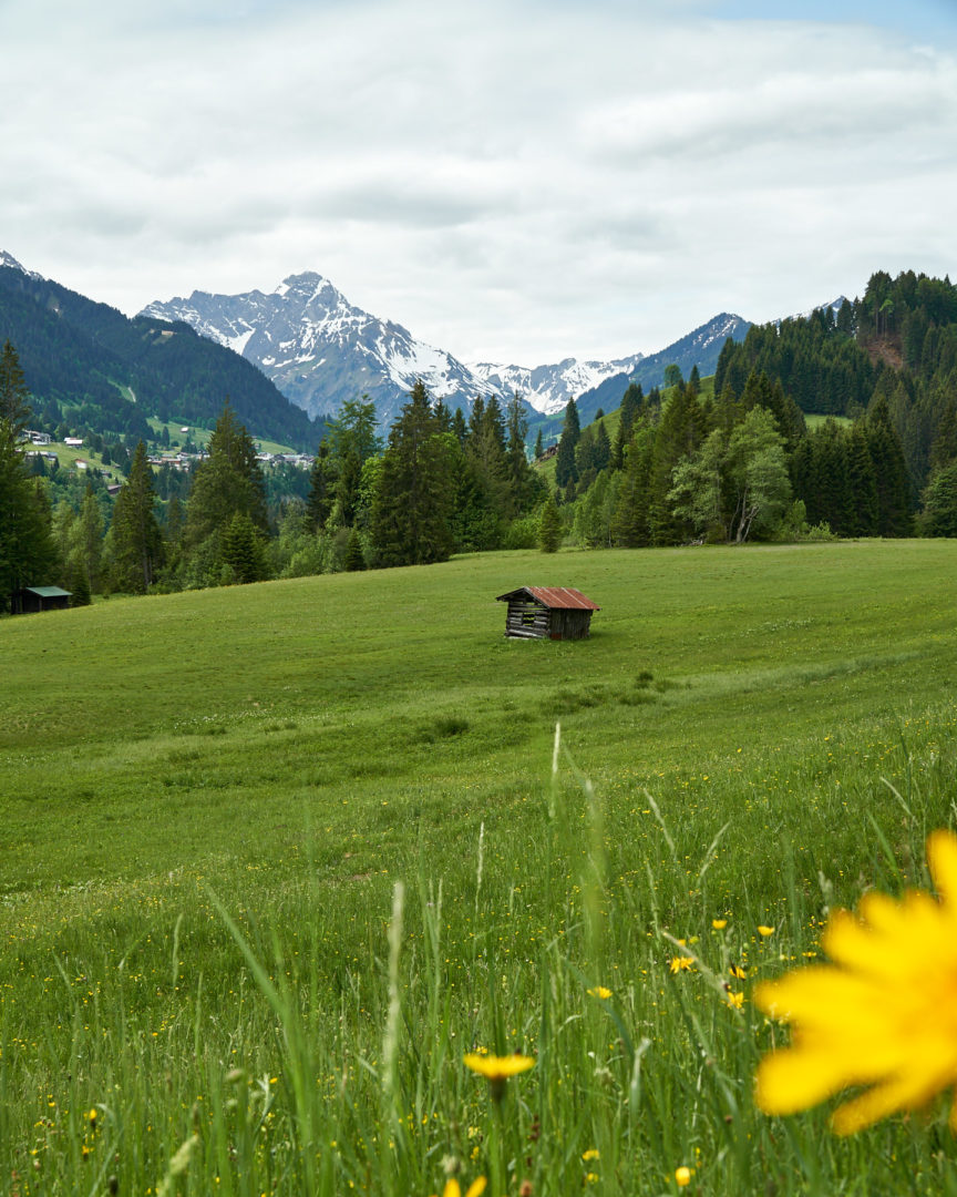 Allgäu: Nagelfluh und Breitachklamm