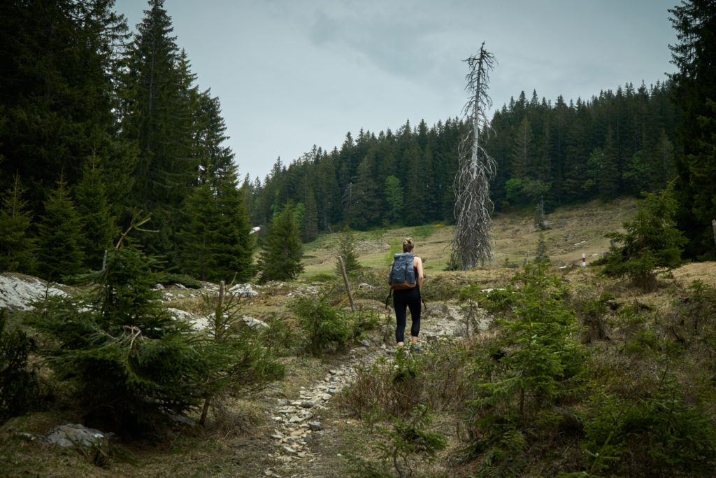 Scheuenalpe Allgäu Nagelfluhette Wanderung