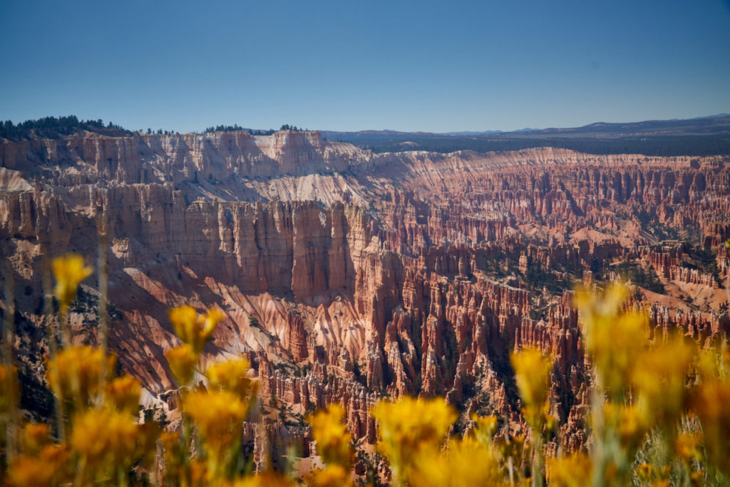Die perfekte USA Roadtrip Route durch den Südwesten: Bryce Canyon Queens Garden