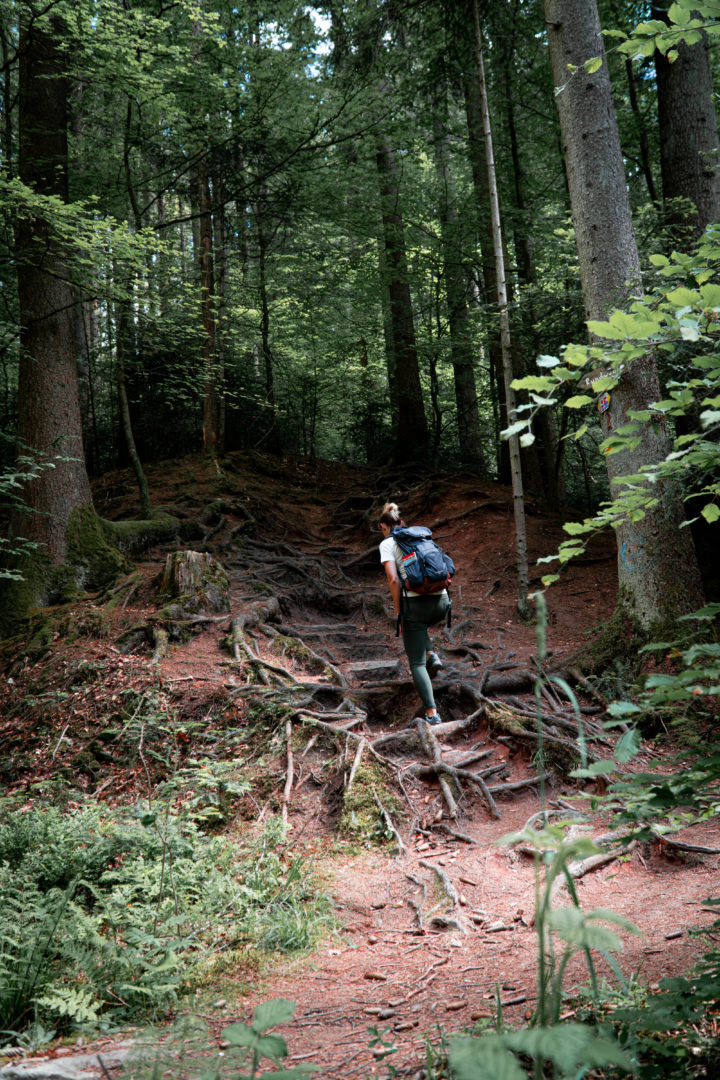 Naturschutzgebiet Brunnenklinge im Schwäbischen Wald