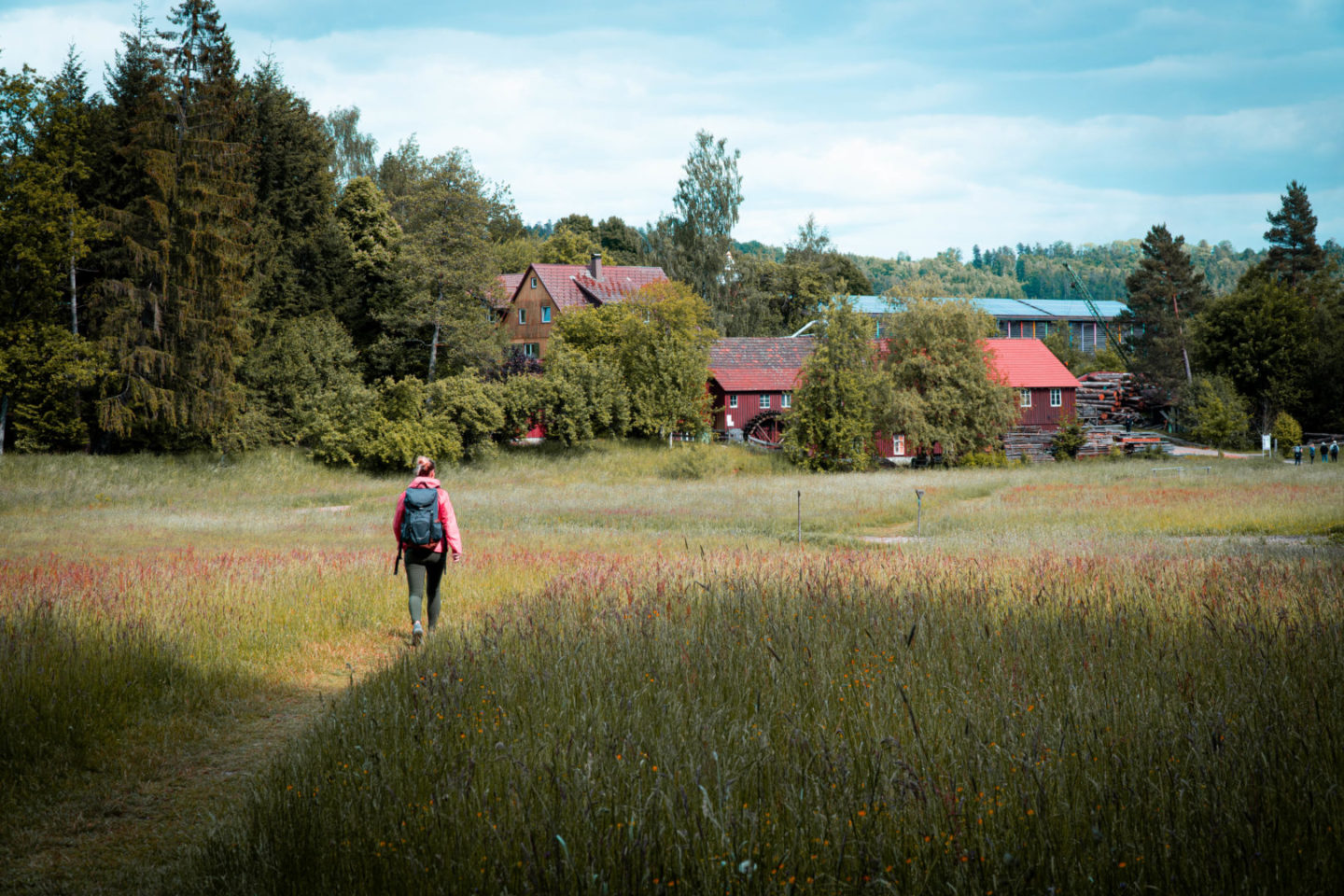 Mühlenweg durch den Schwäbisch Fränkischen Wald bei Alfdorf und WElzheim im Rems Murr Kreis, Rundwanderung