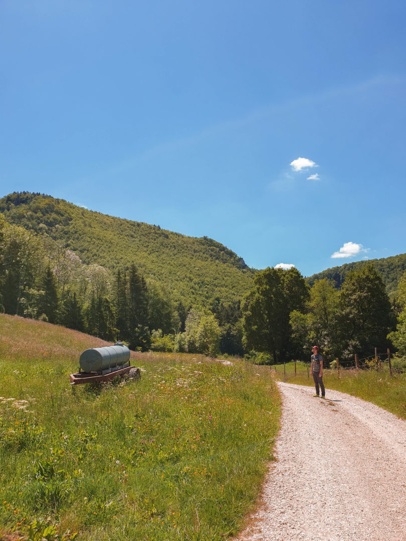 Wanderweg über Blumenwiesen von der Traufganghütte Brunnental über die Hossinger Leiter.