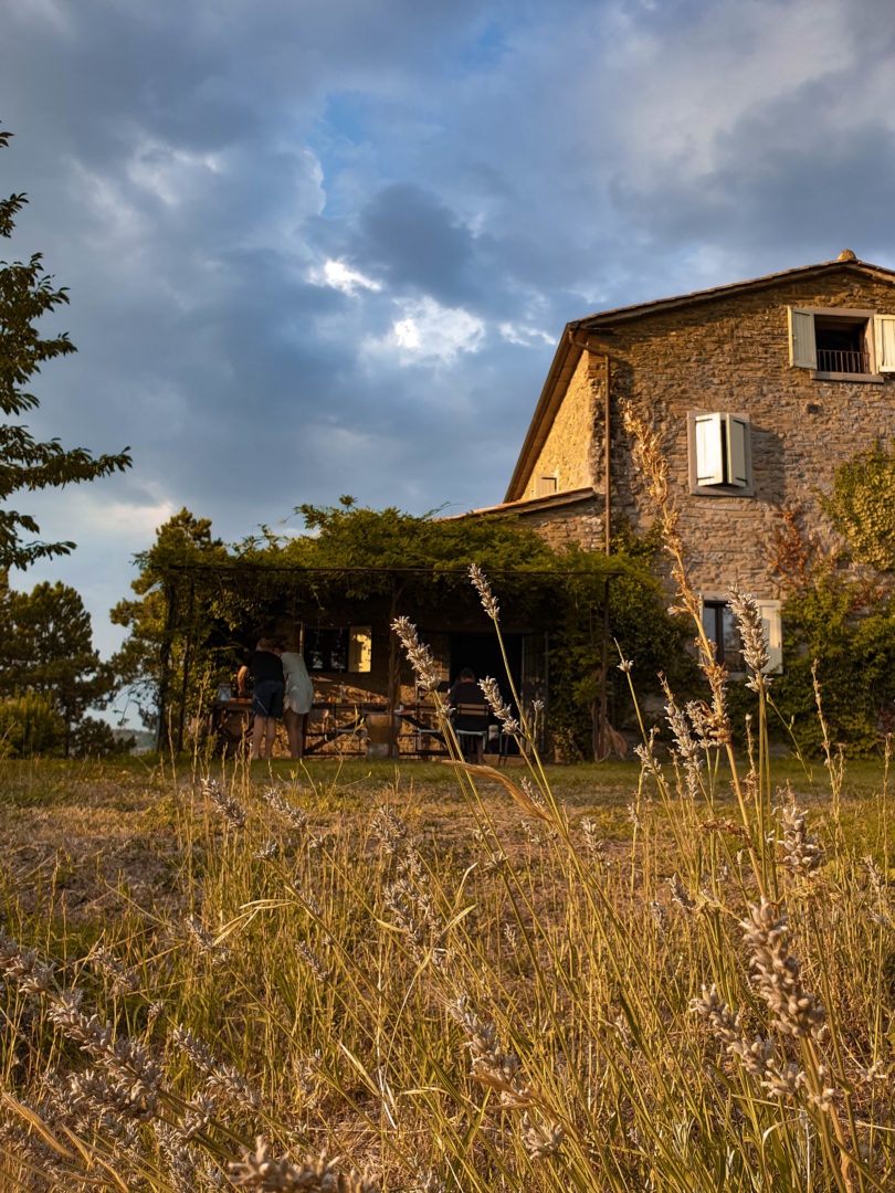 Altes umbrisches Bauernhaus aus Steinen mit wildem garten und Lavendel.