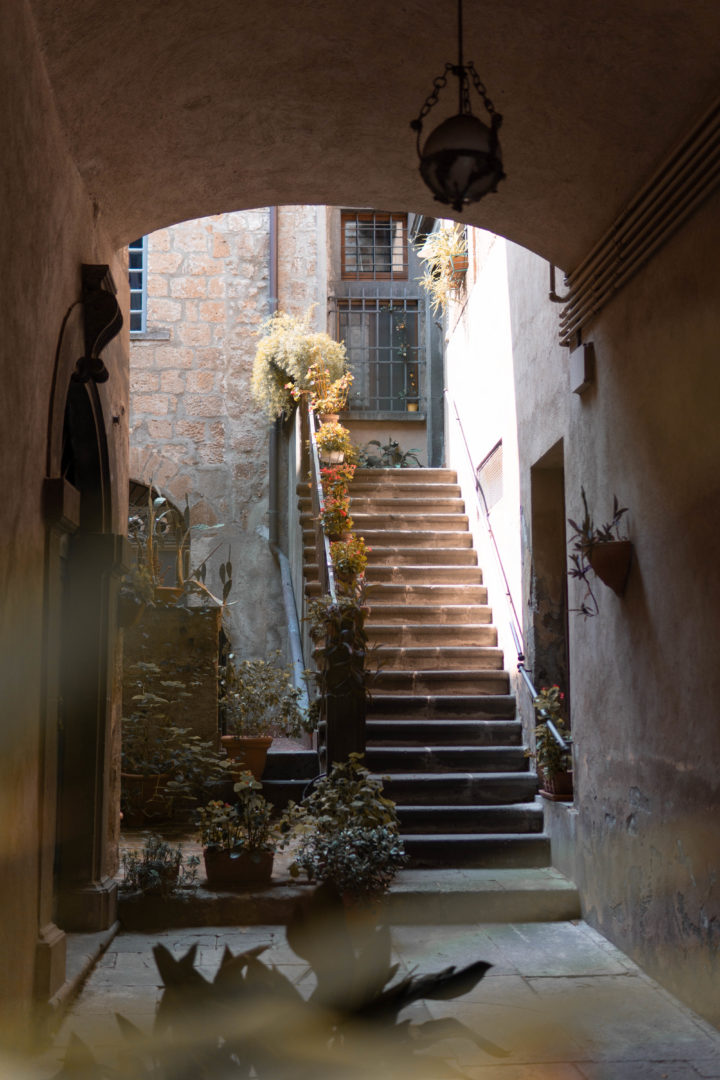 Gasse mit Grünpflanzen und Treppe in der Altstadt der umbrischen Stadt Orvieto.