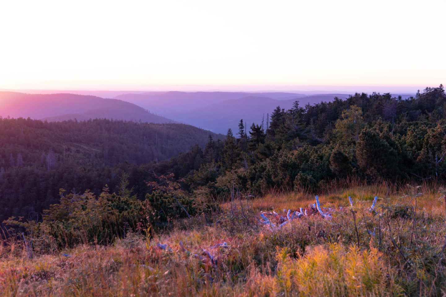 Die Hornisgrinde an der Schwarzwaldhochstraße im Morgenlicht.