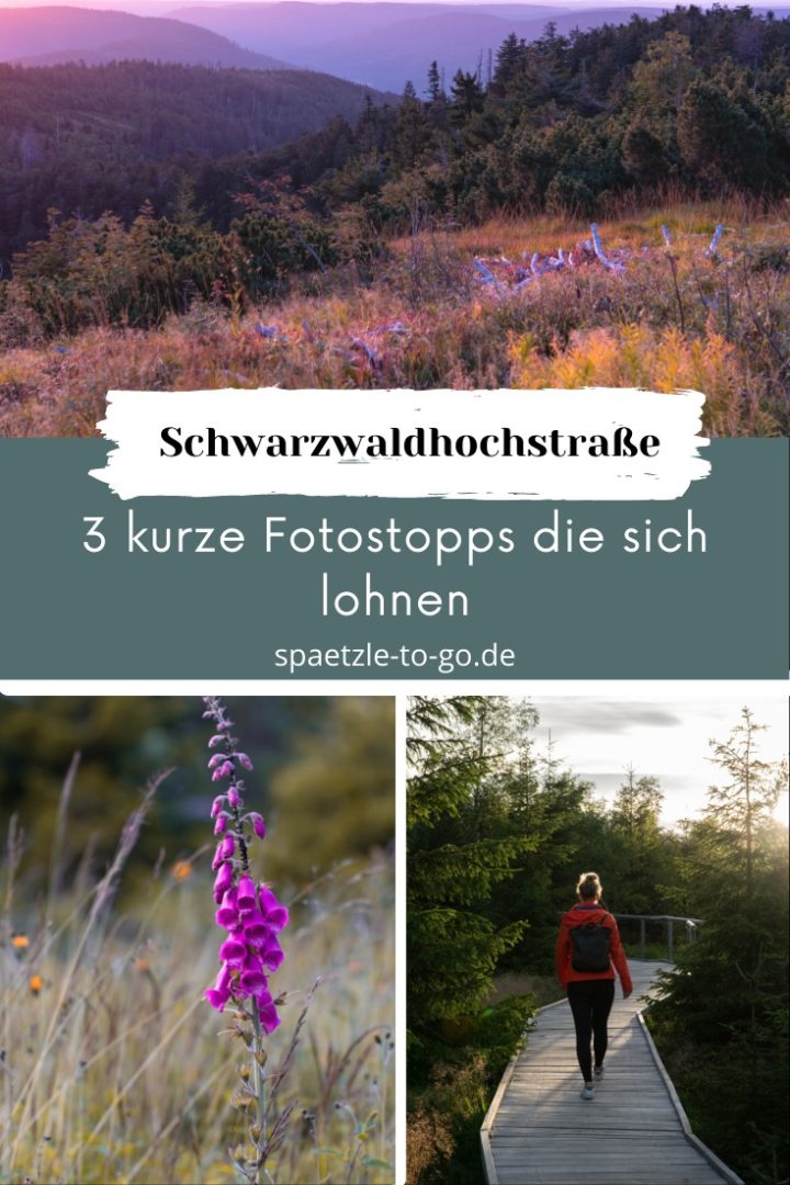 Pinterest design 3 Fotostopps an der Schwarzwaldhochstraße