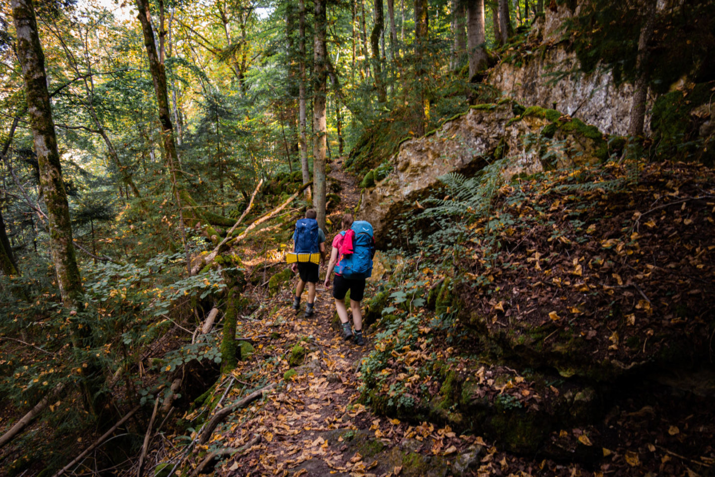 Trekking auf dem Schluchtensteig im Schwarzwald - Durch die Wutachflühen.