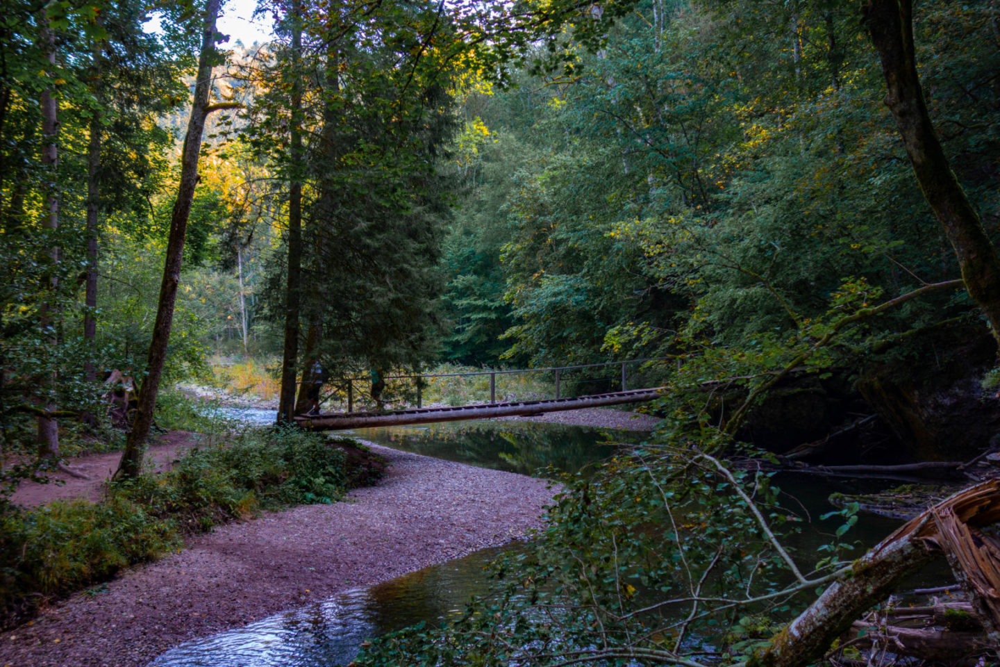 Trekking auf dem Schluchtensteig im Schwarzwald