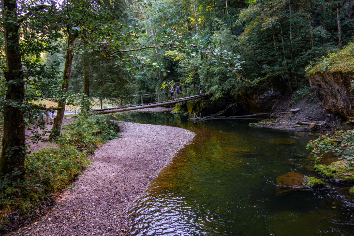 Trekking auf dem Schluchtensteig im Schwarzwald - Kanadiersteg.