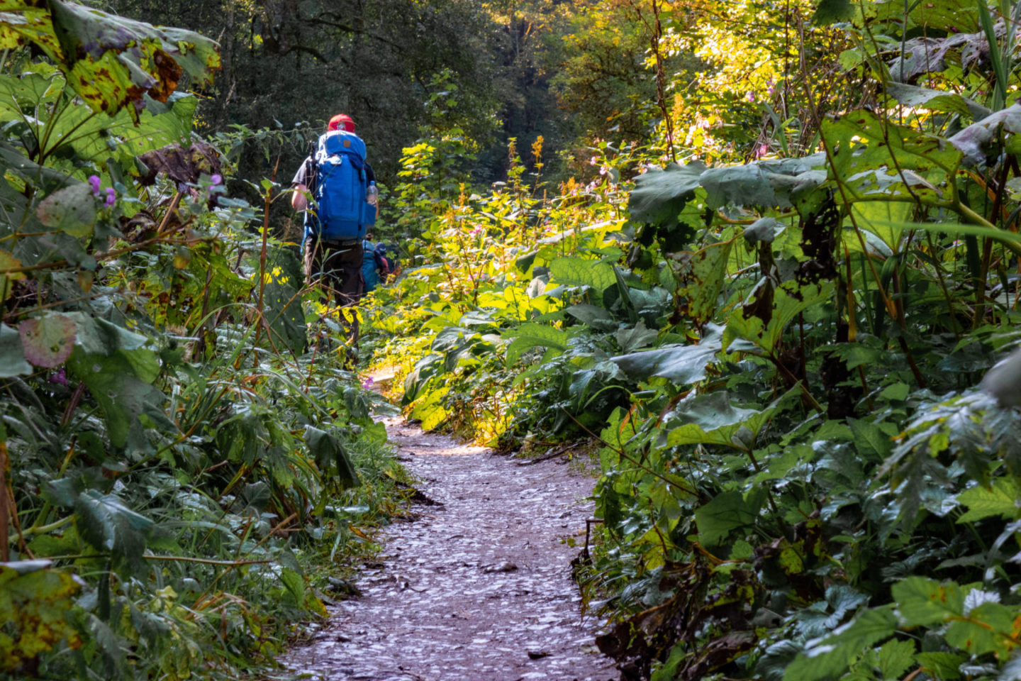Trekkingtour den Schluchtensteig entlang.