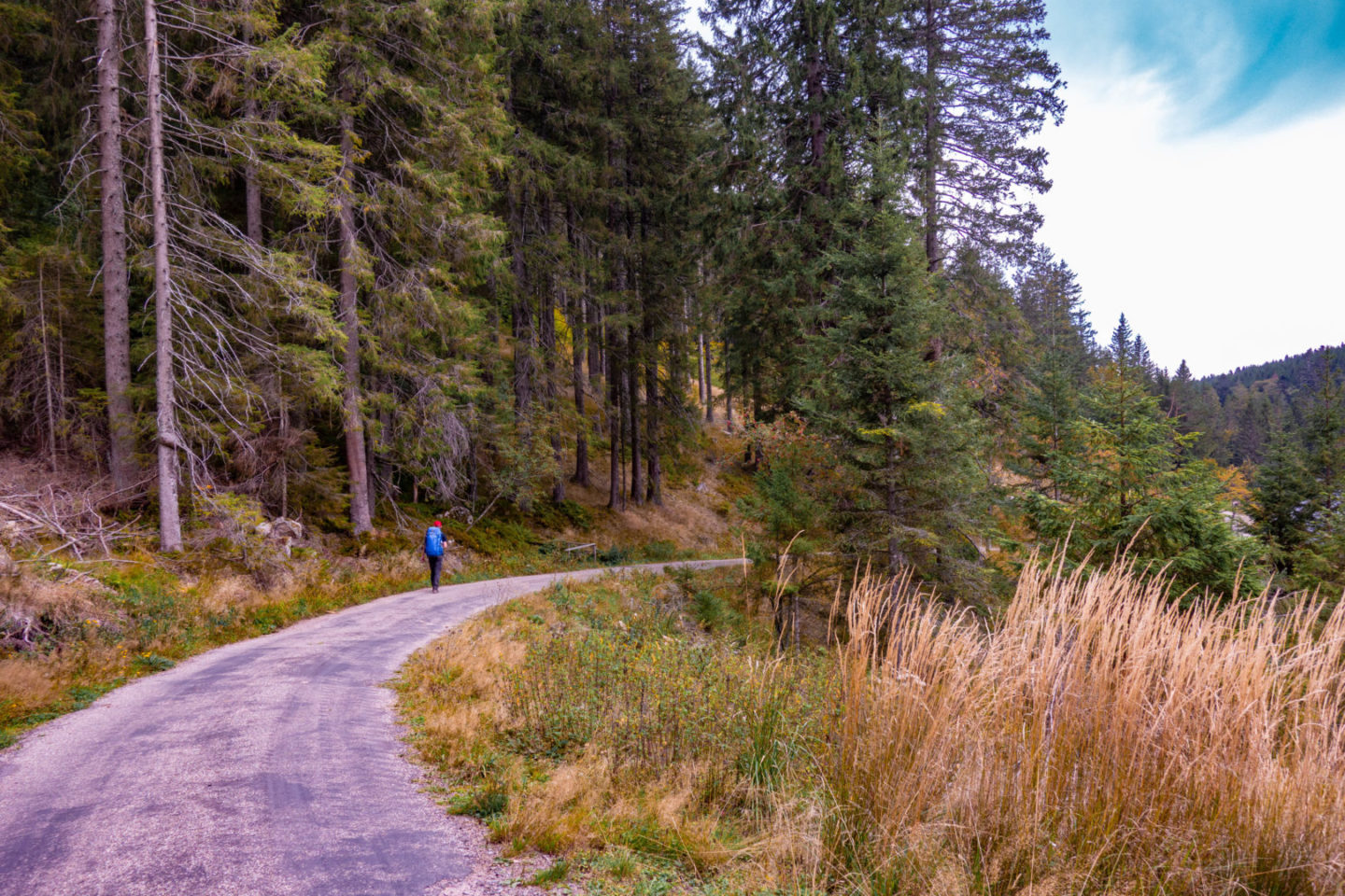 Trekking auf dem Schluchtensteig im Schwarzwald