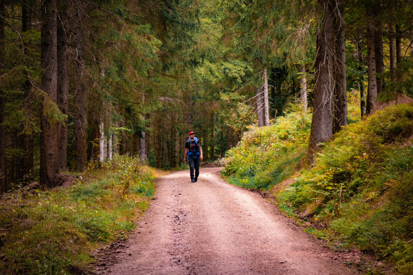 Trekking auf dem Schluchtensteig im Schwarzwald