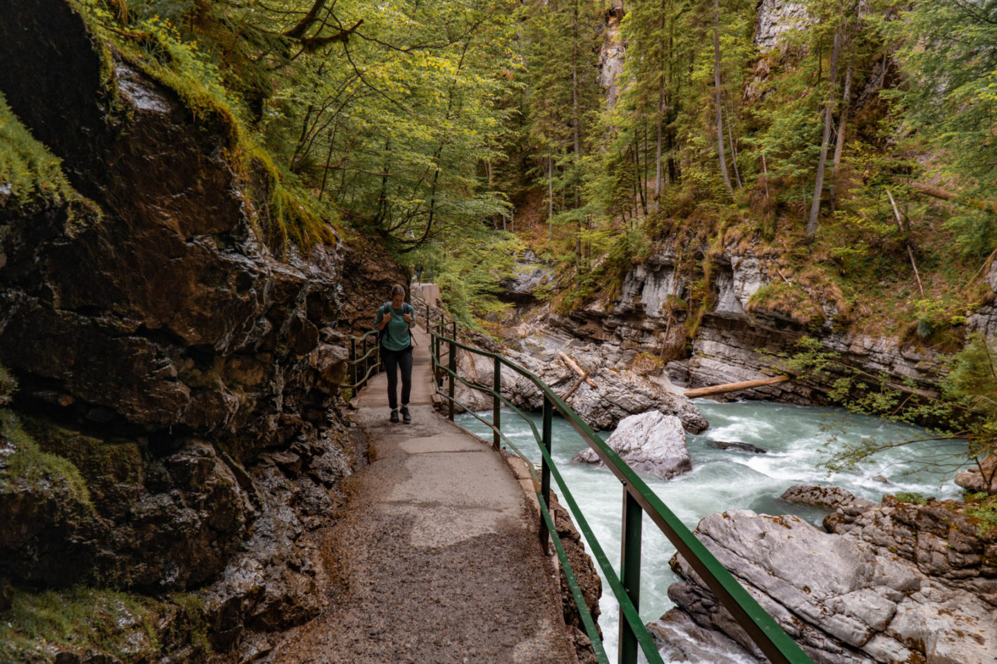 Die Breitach fliesst zwischen knorrigen Bäumen und Felsblöcken durch die Klamm..
