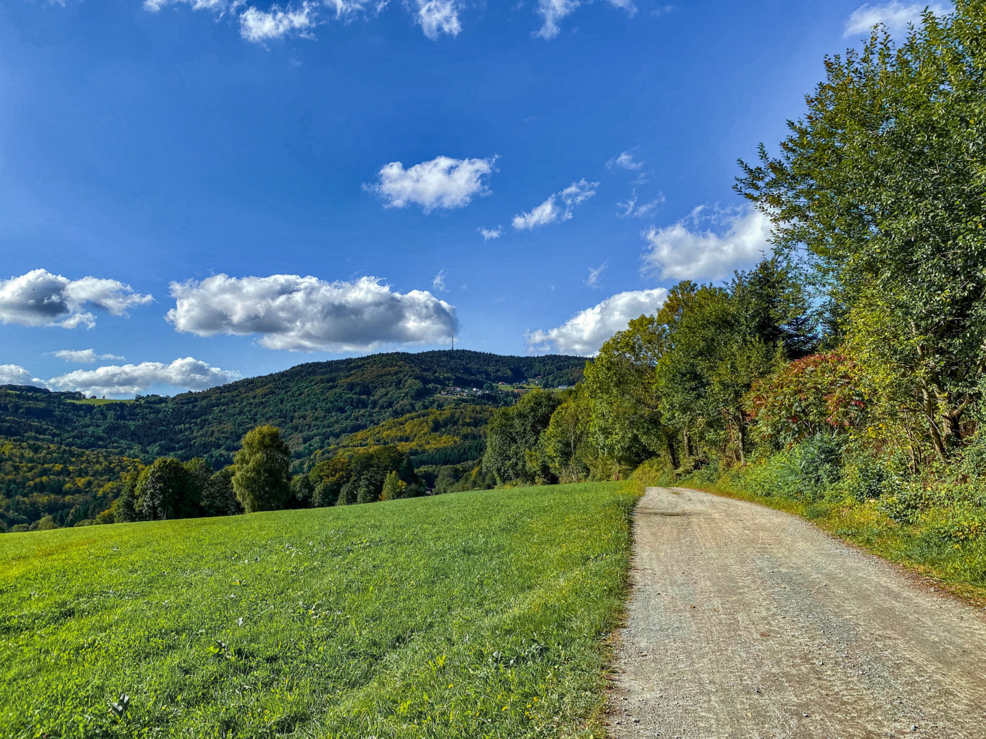 Die schönsten Herbstwanderungen im Bayerischen Wald.