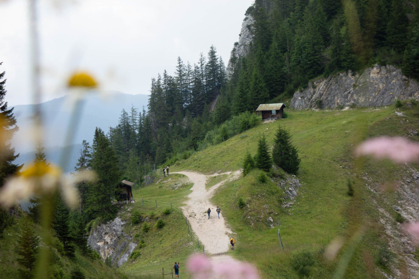Wanderung auf den Tegelberg mit Blick auf Almwiesen bei Regen.