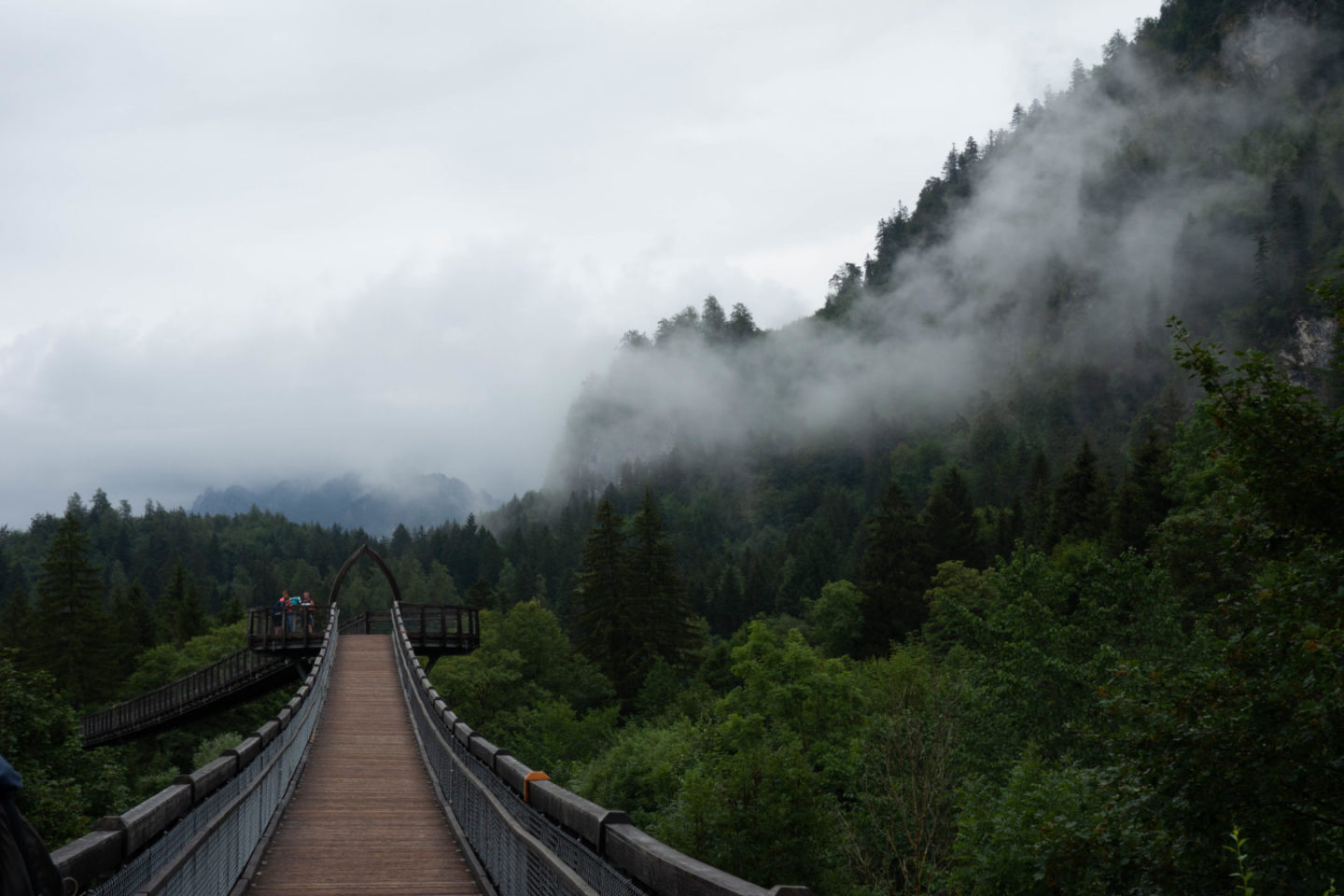 Allgäu bei Regen - Baumwipfelpfad Ziegelwies