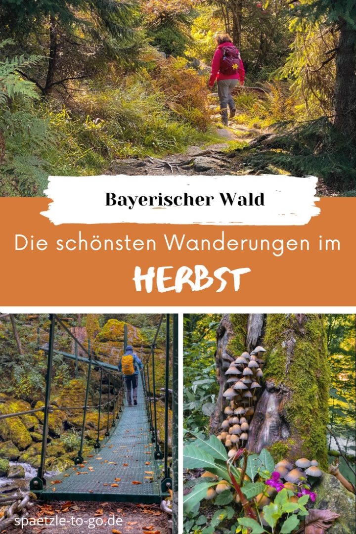 Herbstwandern im Bayerischen Wald - Die schönsten Touren