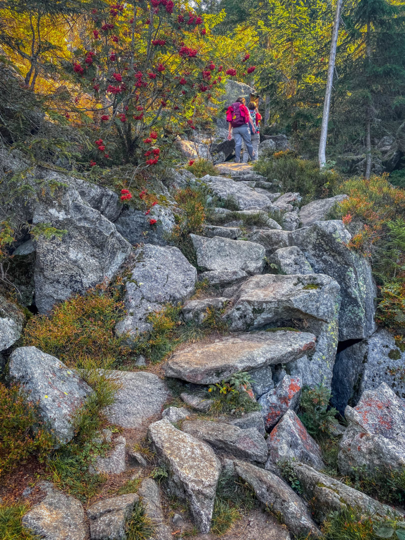 Der Lusengipfel im Herbst: Aufsteig über die Himmelsleiter