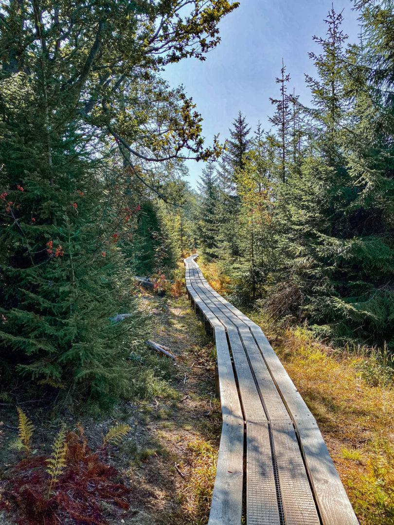 Wanderung über die Himmelsleiter zum Lusengipfel im Spetember im Bayerischen Wald.