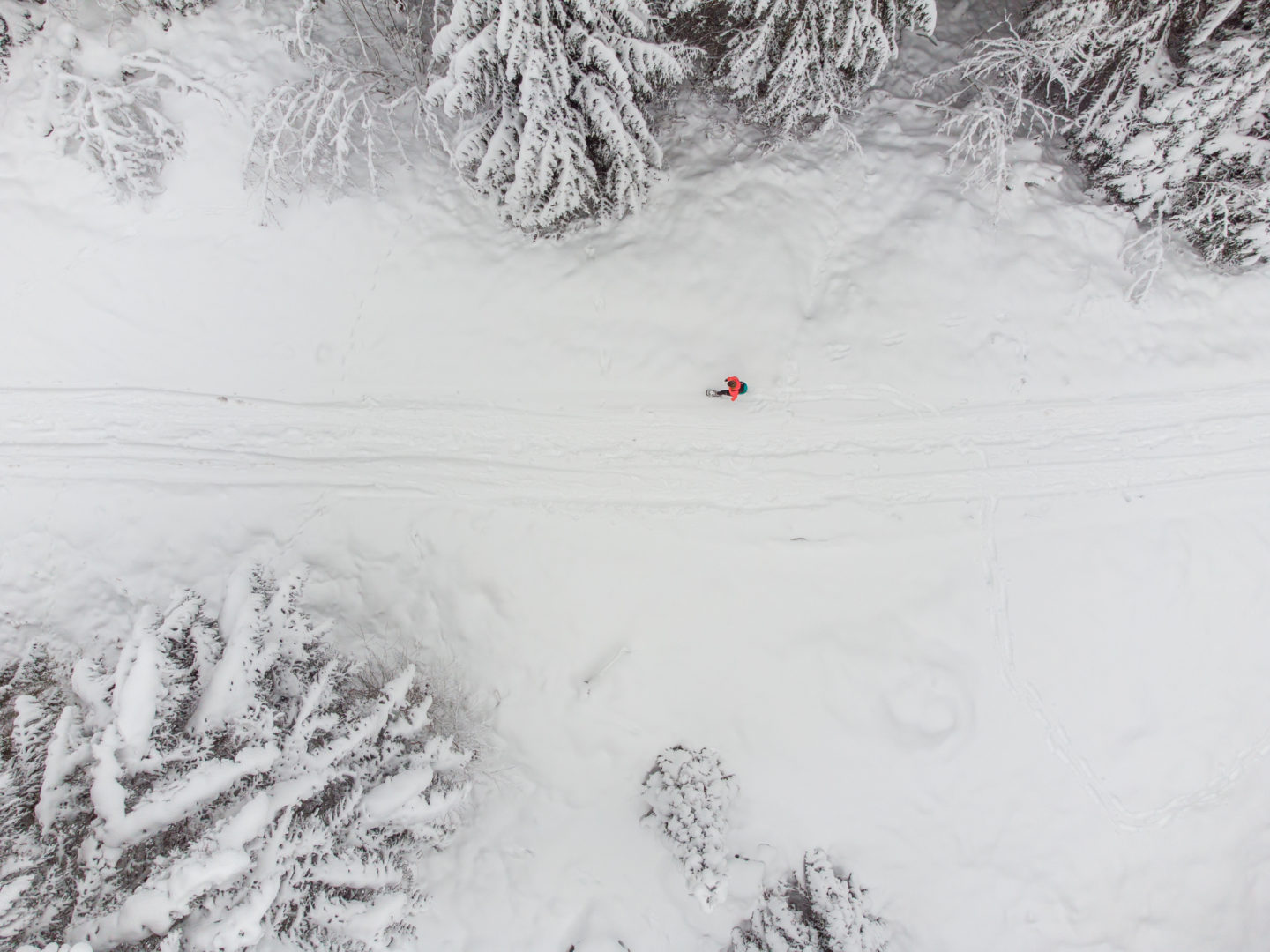 Schneeschuhwandern rund um Kniebis