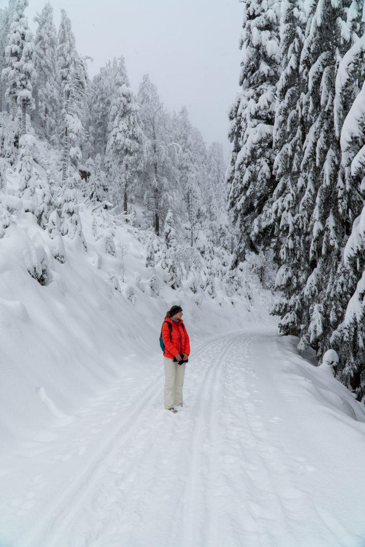 Schneeschuhwandern rund um Kniebis