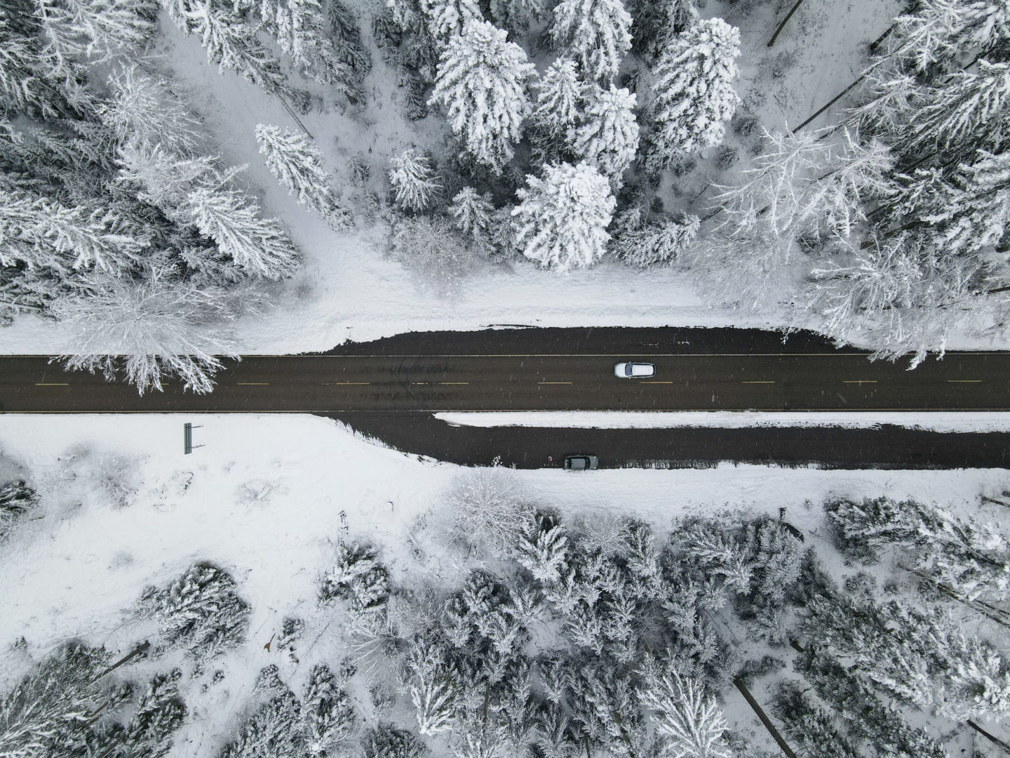 Schneeschuhwandern rund um Kniebis
