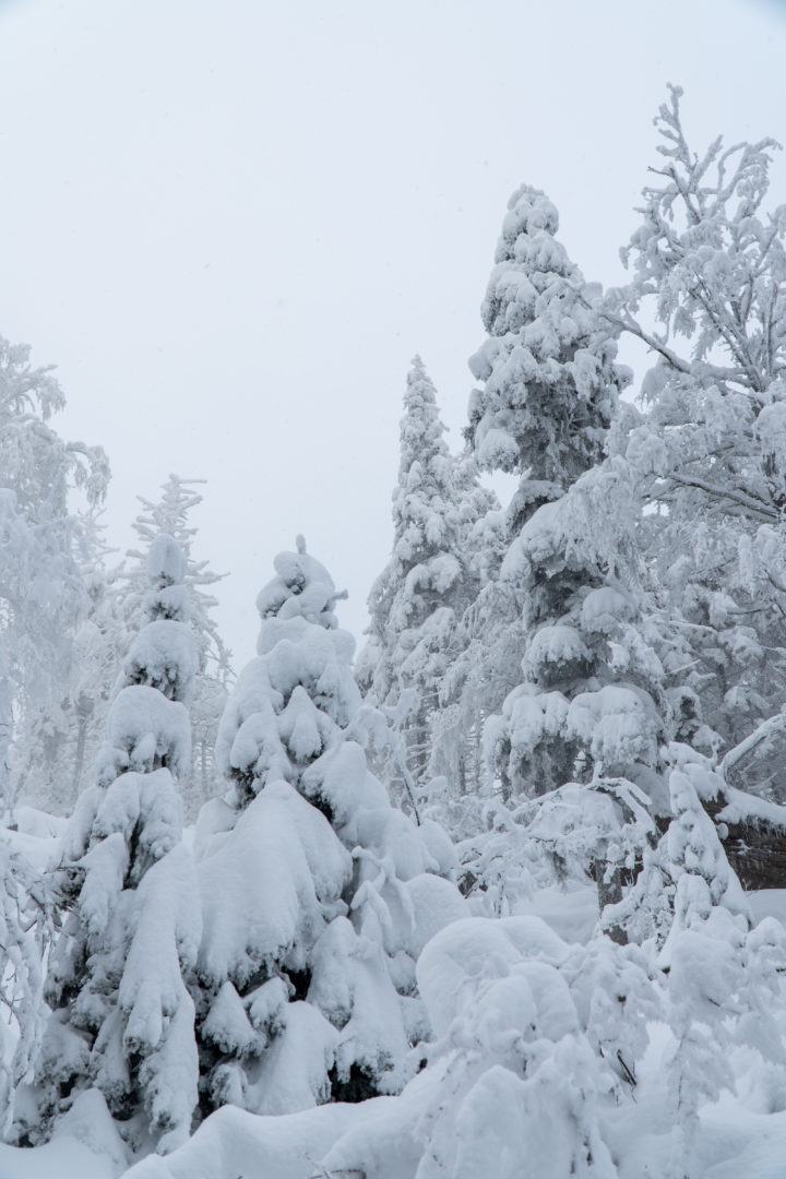 Schneeschuhwandern rund um Kniebis