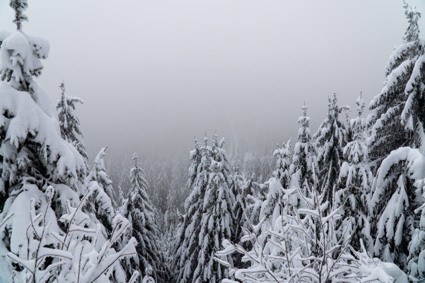 Winterwunderland Nordschwarzwald