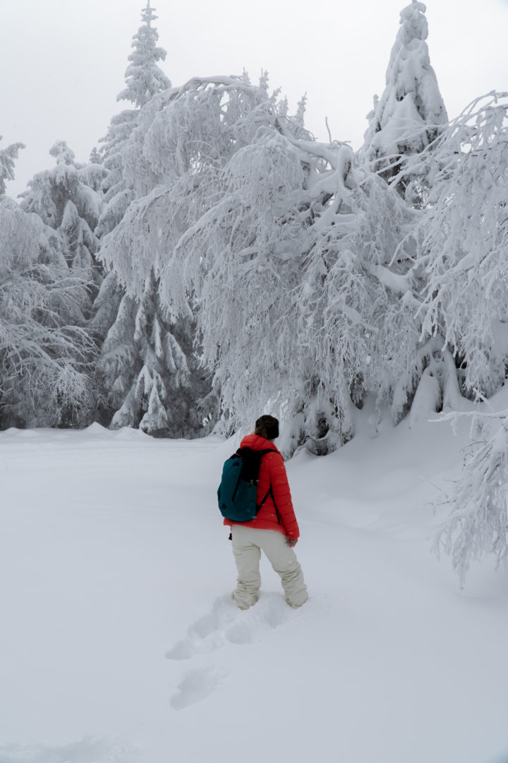 Winterwunderland Nordschwarzwald