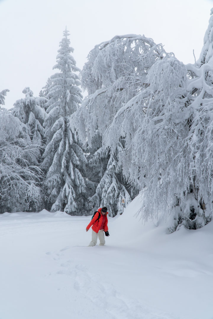 Winterwunderland Nordschwarzwald
