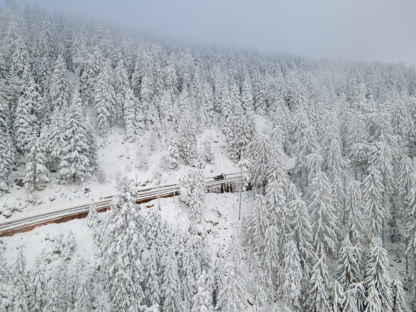 Winterwunderland Nordschwarzwald