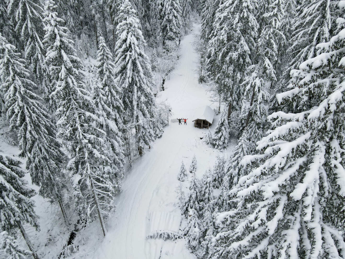 Schneeschuhwandern rund um Kniebis