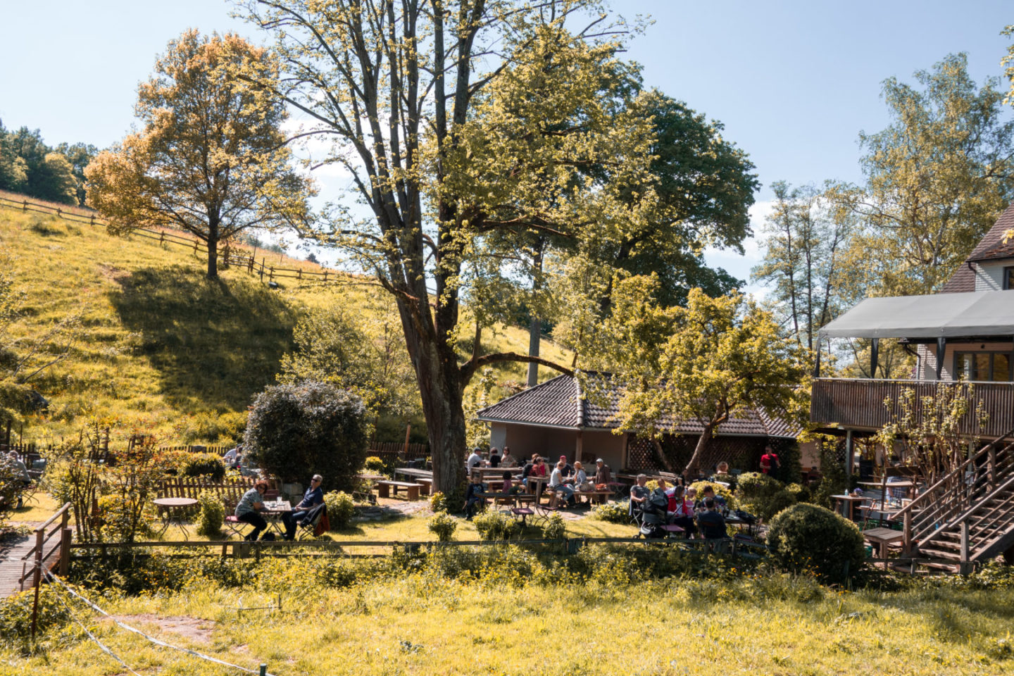Biergarten und Café bei der Eselsmühle unter großen Bäumen mit Sicht auf Wiesen und Weiden