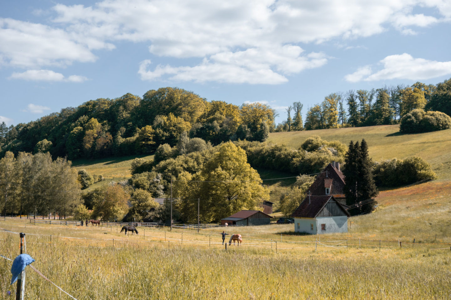 Pferdehof im Siebenmühlental