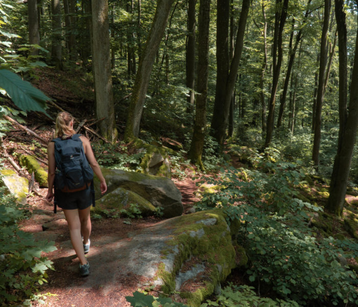Über Felsen und Moose. Wanderung auf den Schwarzwihrberg und weiter zur Steinernen Wand.